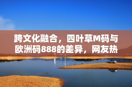 跨文化融合，四叶草M码与欧洲码888的差异，网友热评解析