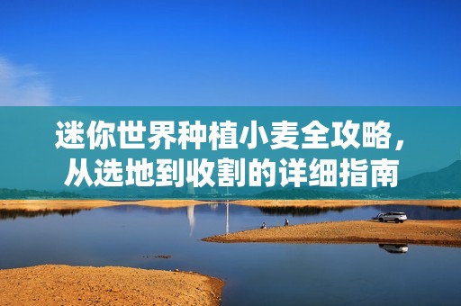 迷你世界种植小麦全攻略，从选地到收割的详细指南